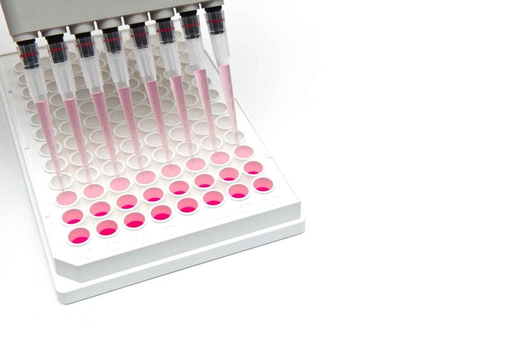 cell based assay