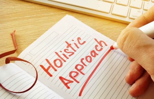 Holistic Approach2