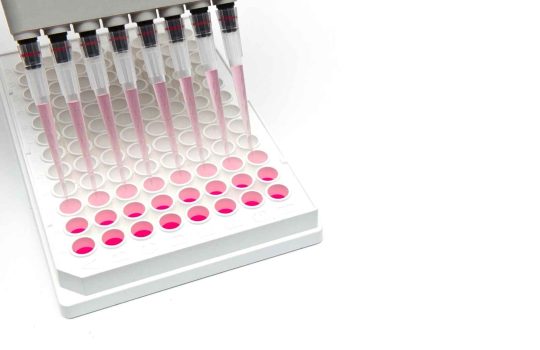 cell based assay2